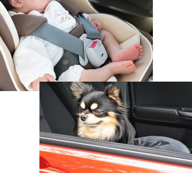 コーティングで快適ドライブイメージ